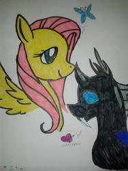 Size: 1920x2560 | Tagged: safe, artist:blackrose416, fluttershy, changeling, g4, heart, shipping, smiling, traditional art