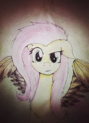 Size: 1557x2165 | Tagged: safe, artist:rainbowpegasusdash, fluttershy, g4, dishevelled, female, looking at you, messy mane, raised eyebrow, solo, spread wings, traditional art