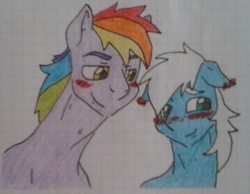 Size: 1097x851 | Tagged: safe, artist:tejedora, prism glider, rainbow blaze, pegasus, pony, g4, crack shipping, gay, graph paper, implied divorce, lined paper, male, ship:prismblaze, shipping, stallion, traditional art