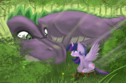 Size: 2900x1900 | Tagged: safe, artist:hierozaki, spike, twilight sparkle, alicorn, pony, g4, forest, grass, older, sitting, size difference, smiling, tree stump, twilight sparkle (alicorn)