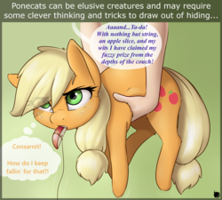 Size: 3000x2700 | Tagged: dead source, safe, artist:captainpudgemuffin, applejack, cat pony, human, original species, pony, g4, apple, apple slice, applebetes, applecat, behaving like a cat, captainpudgemuffin is trying to murder us, cute, dialogue, female, fluffy, food, freckles, high res, holding, holding a pony, implied rarity, jackabetes, mouth hold, offscreen character, pone, pony pet, silly, silly pony, speech bubble, string, sweet dreams fuel, that pony sure does love apples, thought bubble, who's a silly pony