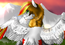 Size: 1000x700 | Tagged: safe, artist:bravefleet, oc, oc only, oc:brave fleet, pegasus, pony, glare, high up, looking at something, majestic, mountain, rear view, scenery, sky, smiling, solo, spread wings, stare, sun, sunrise, wings