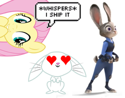 Size: 624x488 | Tagged: safe, angel bunny, fluttershy, g4, crossover, judy hopps, shipping, zootopia