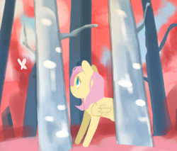 Size: 1000x852 | Tagged: safe, fluttershy, butterfly, pegasus, pony, g4, female, folded wings, forest, looking at something, looking up, mare, outdoors, solo, wings