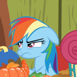Size: 320x320 | Tagged: safe, screencap, posey shy, rainbow dash, pony, flutter brutter, g4, animated, female, floppy ears, solo focus