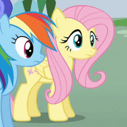 Size: 376x376 | Tagged: safe, screencap, fluttershy, rainbow dash, pony, flutter brutter, g4, animated, blinking, cute, dashabetes, female, shyabetes, solo focus