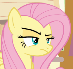 Size: 515x486 | Tagged: safe, screencap, fluttershy, pegasus, pony, flutter brutter, g4, season 6, animated, female, fluttershy is not amused, solo