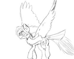 Size: 800x640 | Tagged: safe, artist:bravefleet, oc, oc only, oc:brave fleet, pegasus, pony, clothes, flying, goggles, monochrome, scarf, sketch, solo, tail feathers, takeoff, wings