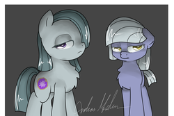 Size: 2100x1401 | Tagged: safe, artist:nerow94, limestone pie, marble pie, earth pony, pony, g4, :<, chest fluff, duo, female, looking at you, mare, signature