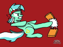 Size: 640x480 | Tagged: safe, artist:bronymeister, lyra heartstrings, g4, equestrian fighters, female, headband, kick, martial arts, plank, solo, wood