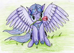 Size: 2566x1838 | Tagged: safe, artist:40kponyguy, derpibooru exclusive, princess luna, g4, cute, female, flower, flower in mouth, looking at you, lunabetes, mouth hold, simple background, solo, spread wings, traditional art