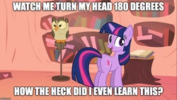 Size: 889x500 | Tagged: safe, edit, edited screencap, screencap, owlowiscious, twilight sparkle, g4, my little pony: friendship is magic, owl's well that ends well, image macro, meme