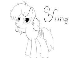 Size: 1280x960 | Tagged: safe, artist:mranthony2, pony, annoyed, lineart, looking at you, out of character, ponified, rwby, simple background, solo, unhappy, yang xiao long