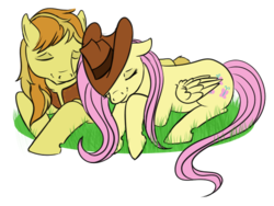 Size: 500x375 | Tagged: safe, artist:karmadash, braeburn, fluttershy, g4, commission, female, hat, male, ship:braeshy, shipping, straight