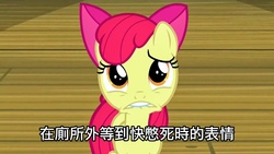 Size: 1280x720 | Tagged: safe, screencap, apple bloom, earth pony, pony, g4, chinese, translated in the comments