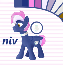 Size: 1500x1536 | Tagged: safe, artist:niv, oc, oc only, oc:niv, pegasus, pony, blue, brown eyes, collar, cutie mark, male, palette, reference sheet, simple background, smiling, solo, stallion, text, two toned hair, white background, wings
