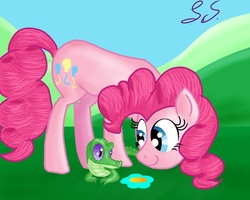 Size: 1024x819 | Tagged: safe, artist:some-pegasister, gummy, pinkie pie, earth pony, pony, g4, duo, female, flower, looking at each other, mare