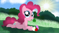 Size: 1920x1080 | Tagged: safe, artist:bvsquare, pinkie pie, earth pony, pony, g4, clover, female, flower, lying down, mare, prone, solo, spring, sun