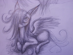 Size: 1280x960 | Tagged: safe, artist:sweetstrawberryblood, fluttershy, g4, female, pen drawing, solo, traditional art