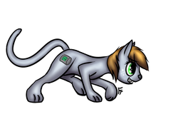 Size: 1400x1050 | Tagged: safe, artist:frecklesfanatic, oc, oc only, oc:littlepip, cat, fallout equestria, catified, freckles, grin, simple background, smiling, sneaking, solo, species swap, white background