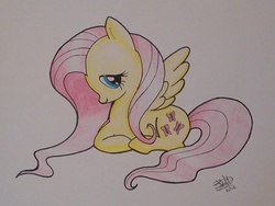 Size: 1290x971 | Tagged: safe, artist:estefanoida, fluttershy, pegasus, pony, g4, female, mare, prone, signature, solo, traditional art