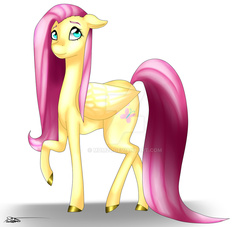 Size: 1024x928 | Tagged: safe, artist:mdm24, fluttershy, pegasus, pony, g4, deviantart watermark, female, mare, shadow, signature, solo, watermark