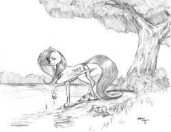 Size: 1200x930 | Tagged: safe, artist:baron engel, angel bunny, fluttershy, g4, lake, looking at you, monochrome, pencil drawing, traditional art, tree