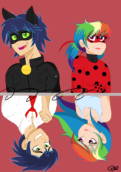 Size: 2480x3508 | Tagged: safe, artist:pimpartist101, rainbow dash, soarin', human, g4, chat noir, female, high res, humanized, male, miraculous ladybug, ship:soarindash, shipping, straight