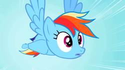 Size: 1280x720 | Tagged: safe, screencap, rainbow dash, g4, may the best pet win, my little pony: friendship is magic, season 2, female, flying, great moments in animation, solo