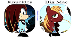 Size: 1280x640 | Tagged: safe, artist:blueaurastreakarts, big macintosh, earth pony, pony, g4, crossover, knuckles the echidna, male, sonic the hedgehog (series), stallion