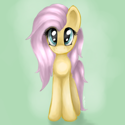 Size: 2000x2000 | Tagged: safe, artist:dbleki, fluttershy, g4, cute, female, frown, high res, looking at you, simple background, solo, standing