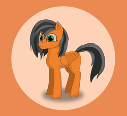 Size: 4787x4370 | Tagged: safe, artist:e-49, oc, oc only, oc:orange, absurd resolution, art, vector