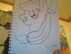 Size: 320x240 | Tagged: safe, artist:kennabird998, applejack, g4, female, solo, traditional art