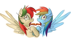 Size: 2811x1627 | Tagged: safe, artist:leadhooves, rainbow dash, oc, oc:blowsy wings, pegasus, pony, g4, canon x oc, female, french kiss, impossibly long tongue, kissing, lesbian, long tongue, shipping, tongue out, tongue tied, wat