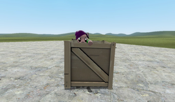 Size: 900x527 | Tagged: safe, artist:squidzle, oc, oc only, oc:squidzle, 3d, crate, gmod, peeking, solo