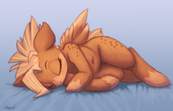 Size: 1280x822 | Tagged: safe, artist:qweeli, artist:transgressors-reworks, color edit, edit, oc, oc only, oc:ruby rustfeather, pegasus, pony, belly button, colored, eyes closed, female, on side, sketch, sleeping, solo