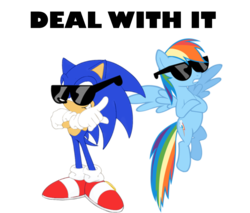 Size: 938x801 | Tagged: safe, artist:snicket324, edit, vector edit, rainbow dash, pegasus, pony, g4, crossover, duo, male, op is a slowpoke, simple background, sonic the hedgehog, sonic the hedgehog (series), sunglasses, transparent background, vector