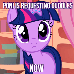 Size: 511x511 | Tagged: safe, edit, edited screencap, screencap, fluttershy, twilight sparkle, pony, unicorn, bridle gossip, g4, :<, animated, blinking, bronybait, caption, cuddling, cute, female, floppy horn, frown, horn, hug request, image macro, looking at you, mare, meme, poni, solo focus, twiabetes, twilight flopple, unicorn twilight