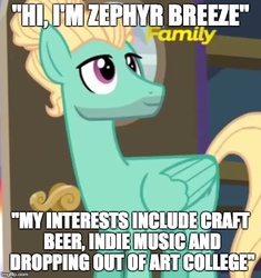 Size: 500x533 | Tagged: safe, edit, edited screencap, screencap, zephyr breeze, pegasus, pony, flutter brutter, g4, caption, discovery family logo, hipster, image macro, male, man bun, meme, solo, stallion