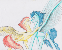 Size: 1130x904 | Tagged: safe, artist:penrosa, soarin', spitfire, pony, g4, female, male, old cutie mark, ship:soarinfire, shipping, simple background, straight, traditional art, wingboner