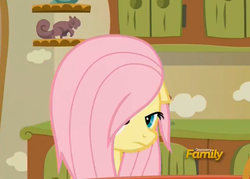 Size: 1569x1125 | Tagged: safe, screencap, fluttershy, pony, flutter brutter, g4, discovery family logo, female, mare, solo