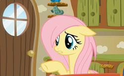 Size: 707x436 | Tagged: safe, screencap, fluttershy, pony, flutter brutter, g4, alternate hairstyle, discovery family logo
