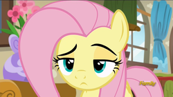 Size: 1920x1080 | Tagged: safe, screencap, fluttershy, pegasus, pony, flutter brutter, g4, discovery family logo, female, fluttershy is not amused, frown, lidded eyes, mare, reaction image, solo, unamused, window
