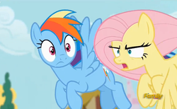 Size: 707x436 | Tagged: safe, screencap, fluttershy, rainbow dash, pony, flutter brutter, g4, assertive, discovery family logo, duo, flying, peeved, you know for kids