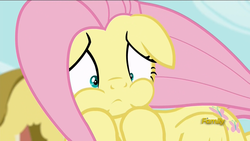 Size: 1920x1080 | Tagged: safe, screencap, fluttershy, pony, flutter brutter, g4, discovery family logo, female, mare, puffy cheeks, solo