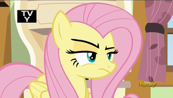 Size: 1920x1080 | Tagged: safe, screencap, fluttershy, pony, flutter brutter, g4, discovery family logo, female, fluttershy is not amused, mare, solo, unamused