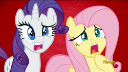 Size: 1920x1080 | Tagged: safe, screencap, fluttershy, rarity, pony, flutter brutter, g4, discovery family logo, reaction image, shocked