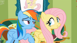 Size: 2437x1385 | Tagged: safe, screencap, fluttershy, rainbow dash, pony, flutter brutter, g4, discovery family logo