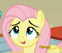Size: 1011x879 | Tagged: safe, screencap, fluttershy, zephyr breeze, pegasus, pony, flutter brutter, g4, discovery family logo, female, mare, offscreen character, out of context, solo focus