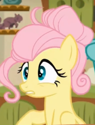 Size: 617x811 | Tagged: safe, screencap, fluttershy, zephyr breeze, pegasus, pony, flutter brutter, g4, alternate hairstyle, cropped, female, male, mare, solo focus, stallion